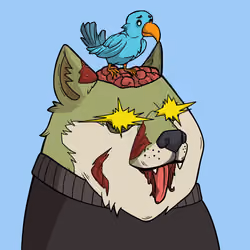 Slumdoge #559