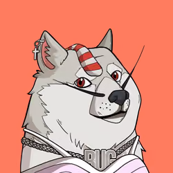 Slumdoge #7662