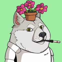 Slumdoge #2894