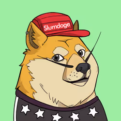 Slumdoge #5084