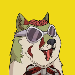 Slumdoge #2563