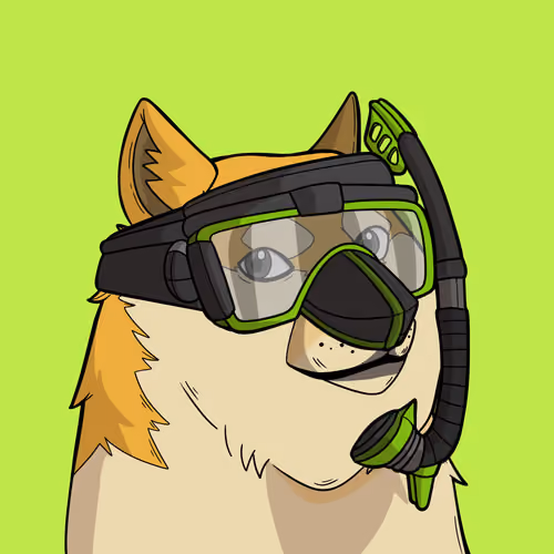 Slumdoge #4809