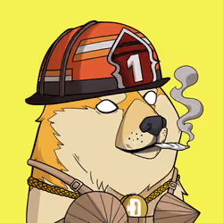 Slumdoge #494