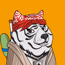 Slumdoge #9947