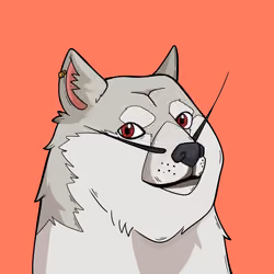Slumdoge #4058