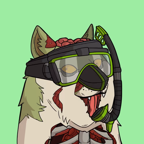 Slumdoge #4938