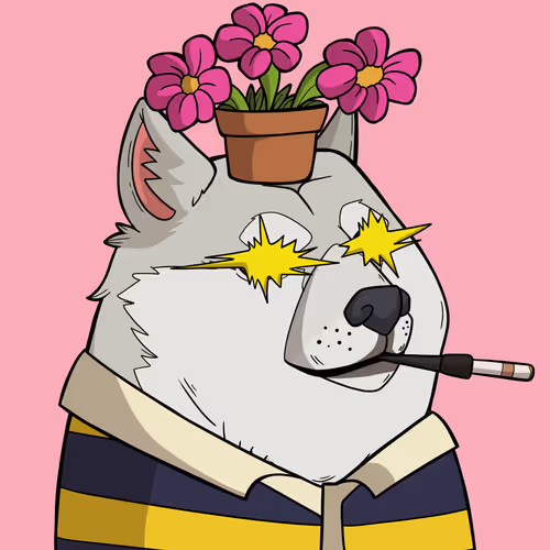 Slumdoge Billionaires