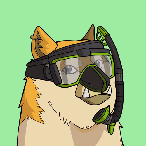 Slumdoge Billionaires