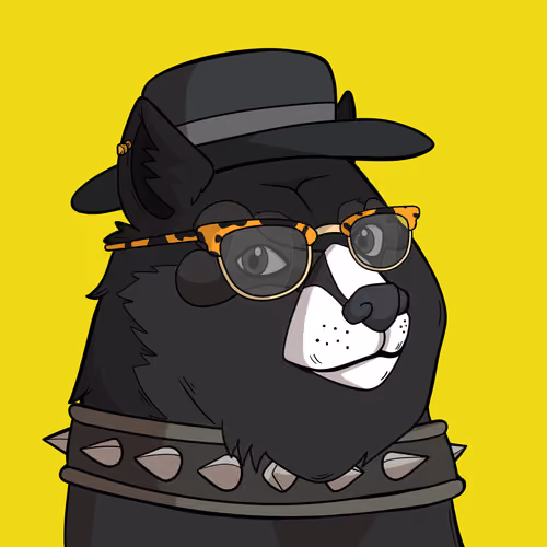 Slumdoge #9847