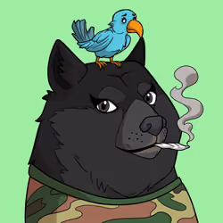Slumdoge #700