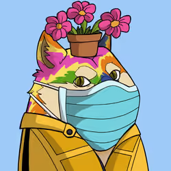 Slumdoge #9835