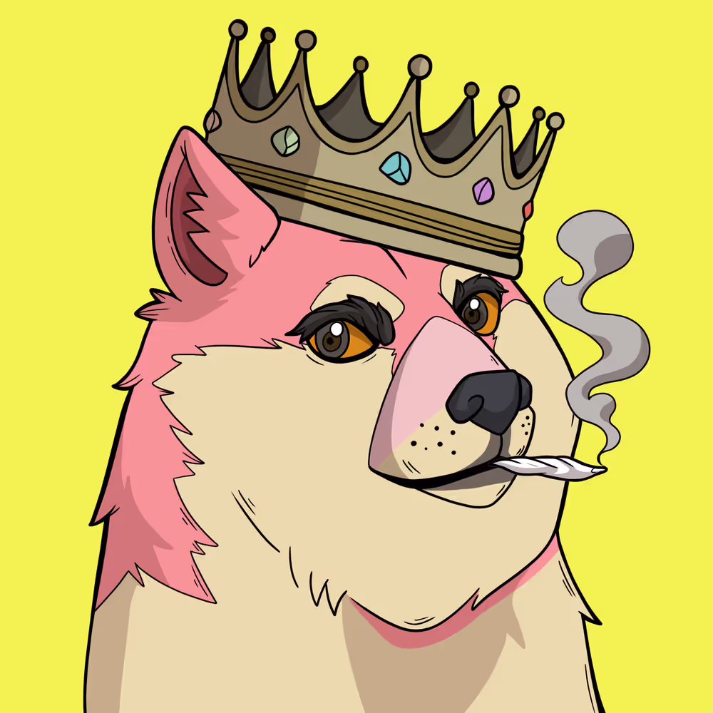 Slumdoge #9996