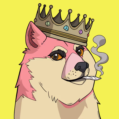 Slumdoge #9996