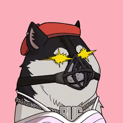 Slumdoge #1884