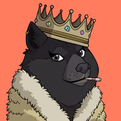 Slumdoge #3019
