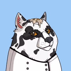 Slumdoge #4971