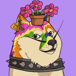 Slumdoge #4455
