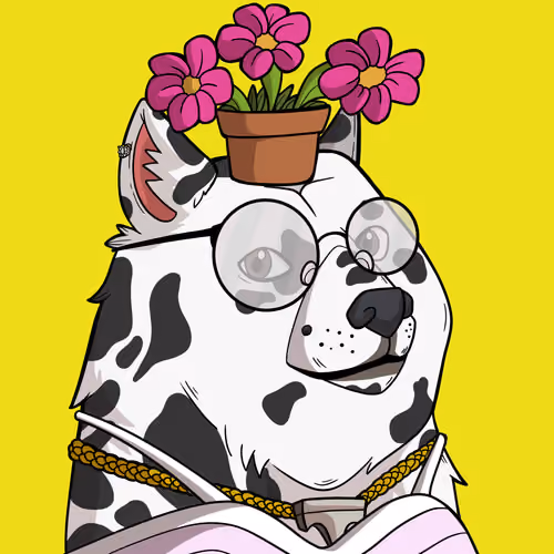 Slumdoge #1984
