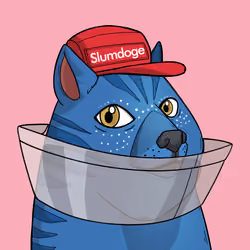 Slumdoge #2544
