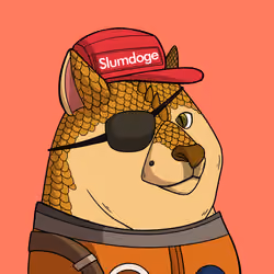 Slumdoge #2993