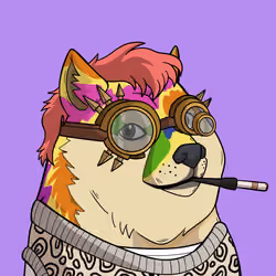 Slumdoge #487