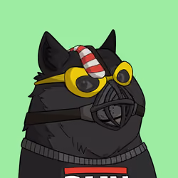 Slumdoge #2565