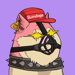 Slumdoge #4656