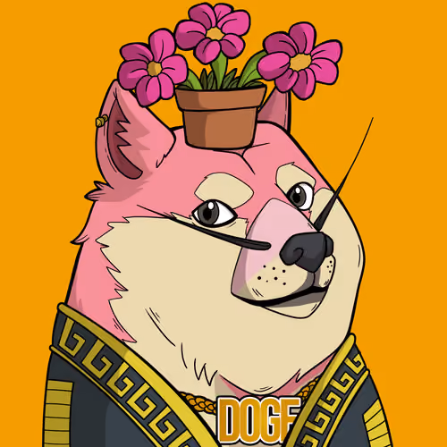 Slumdoge #1474