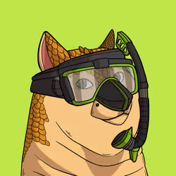 Slumdoge #3431