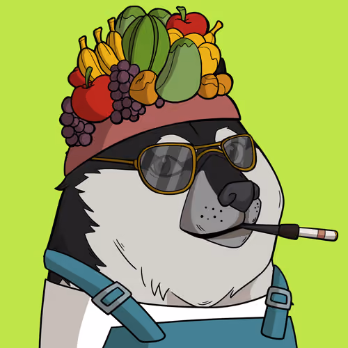 Slumdoge #4248