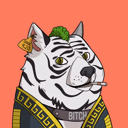 Slumdoge #2805