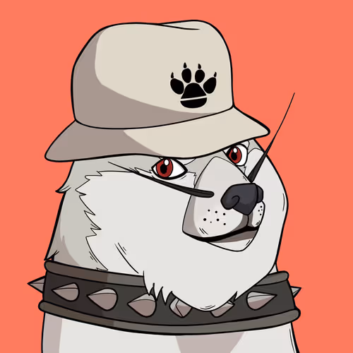 Slumdoge #9421