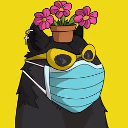 Slumdoge #3385