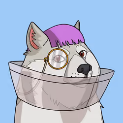 Slumdoge #5421
