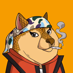 Slumdoge #7681