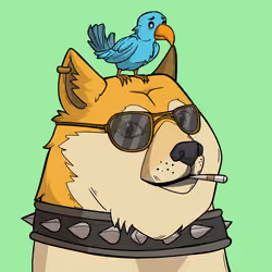 Slumdoge #2118