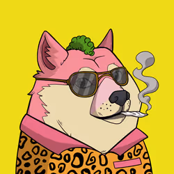 Slumdoge #7224
