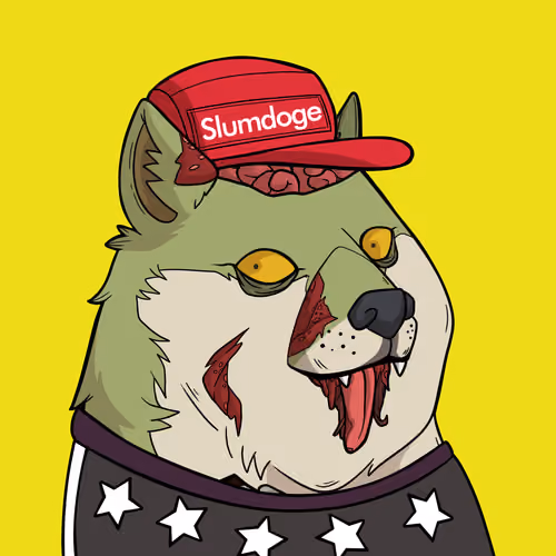 Slumdoge #1911