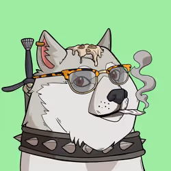 Slumdoge #1717