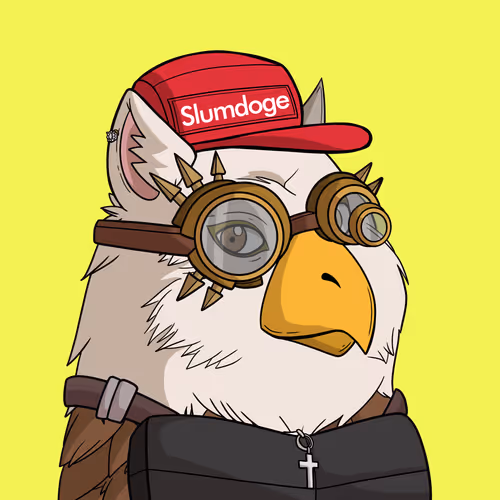 Slumdoge #9965