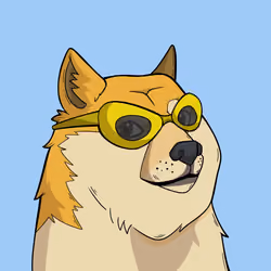 Slumdoge #9691