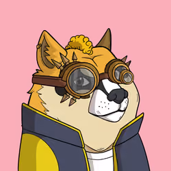 Slumdoge #2542