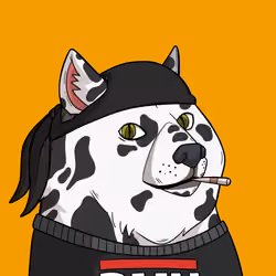 Slumdoge #8478