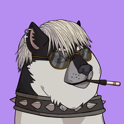Slumdoge #703