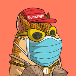 Slumdoge #3832