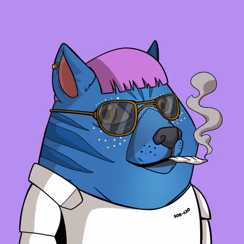 Slumdoge #216