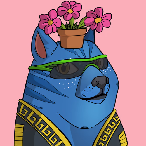 Slumdoge #4459