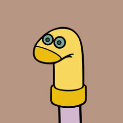 SOCK #586