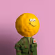 7919