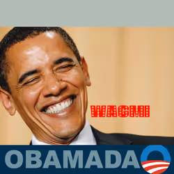 ObamaDAO #247